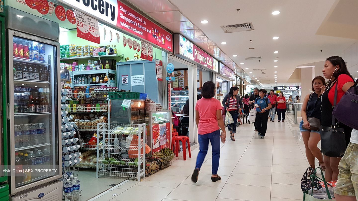 Lucky Plaza (D9), Shop House #628799031